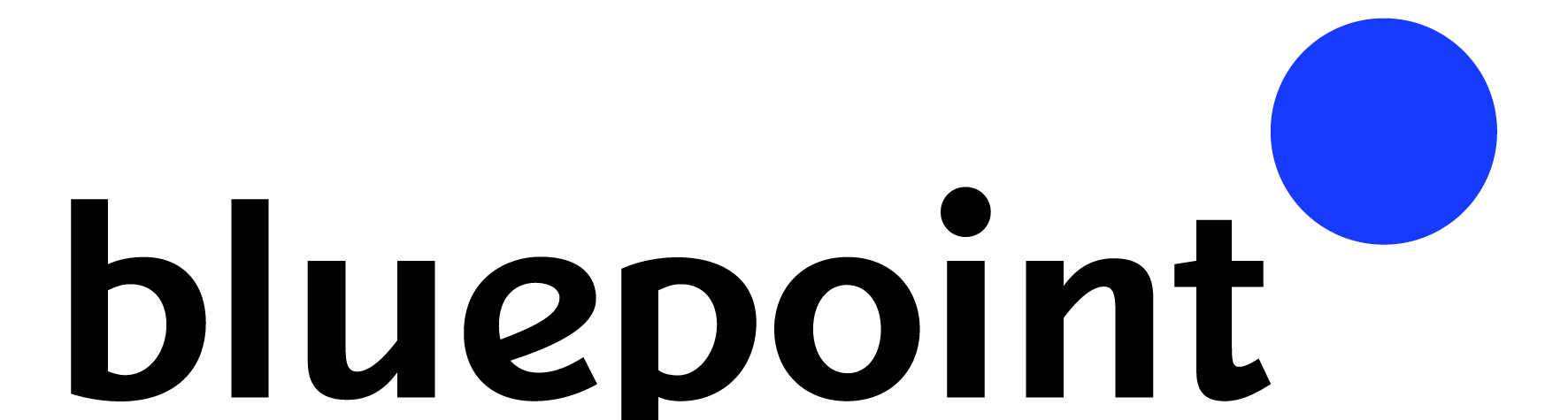 Bluepoint Partners